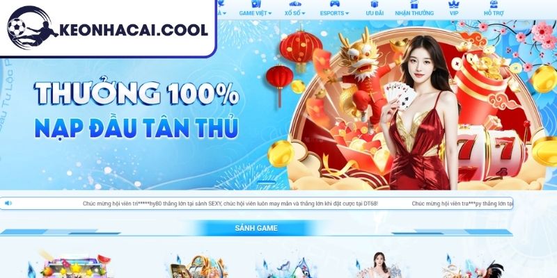 Giấy phép hợp pháp và tổ chức quản lý bảo chứng hoạt động
