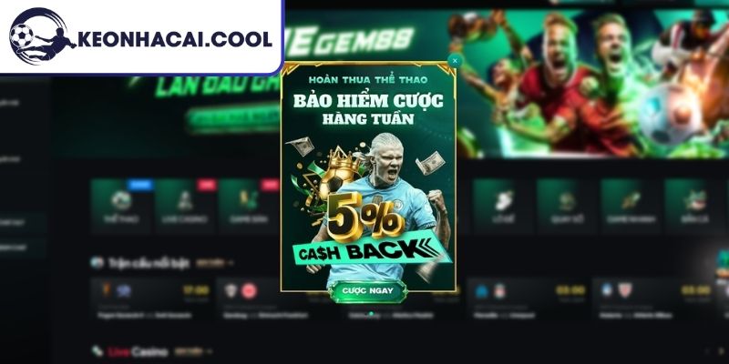 Nghi vấn GEM88 lừa đảo không và bức tranh thực tế 