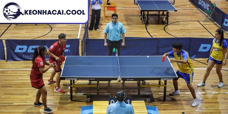 Dữ liệu khái quát về hình thức cá cược bóng bàn