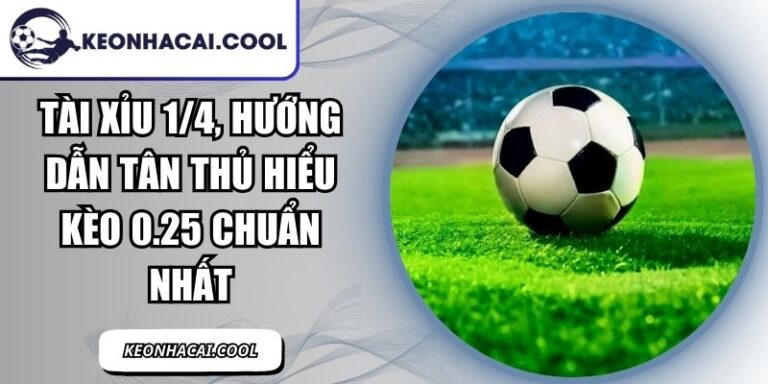 Tài Xỉu 1/4